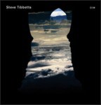 natural causes by Steve Tibbetts