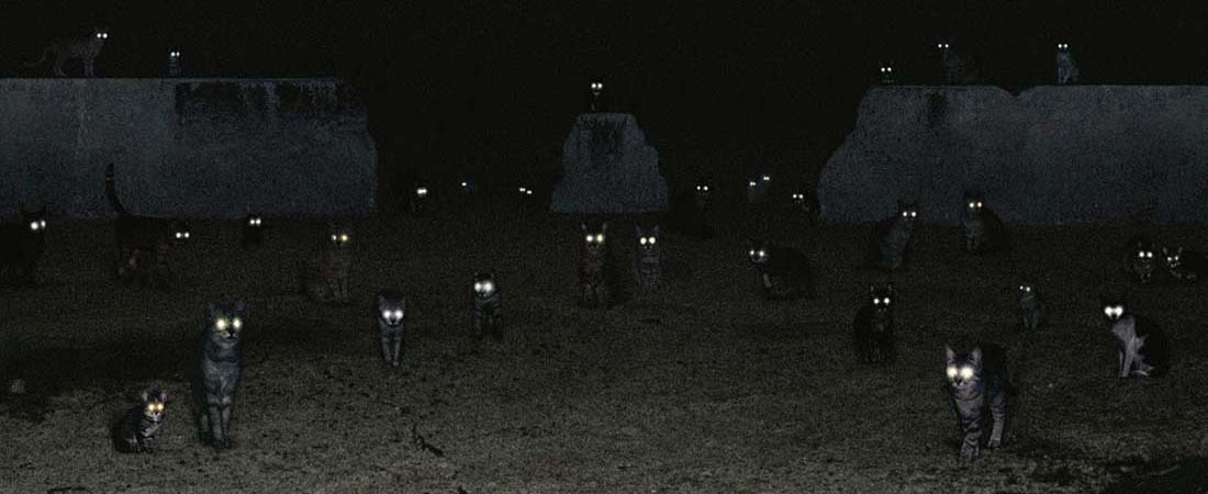 life-of-bottom-cover-1100cr